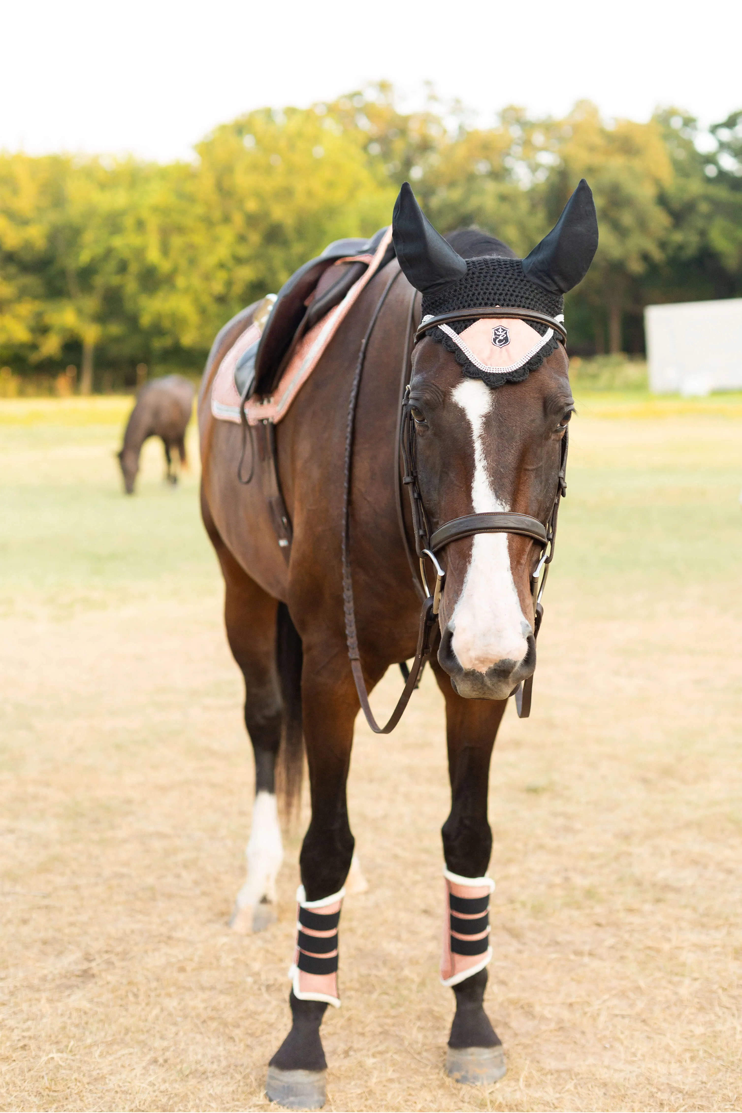 Equestroom Powder Pink Suede Fly Hat