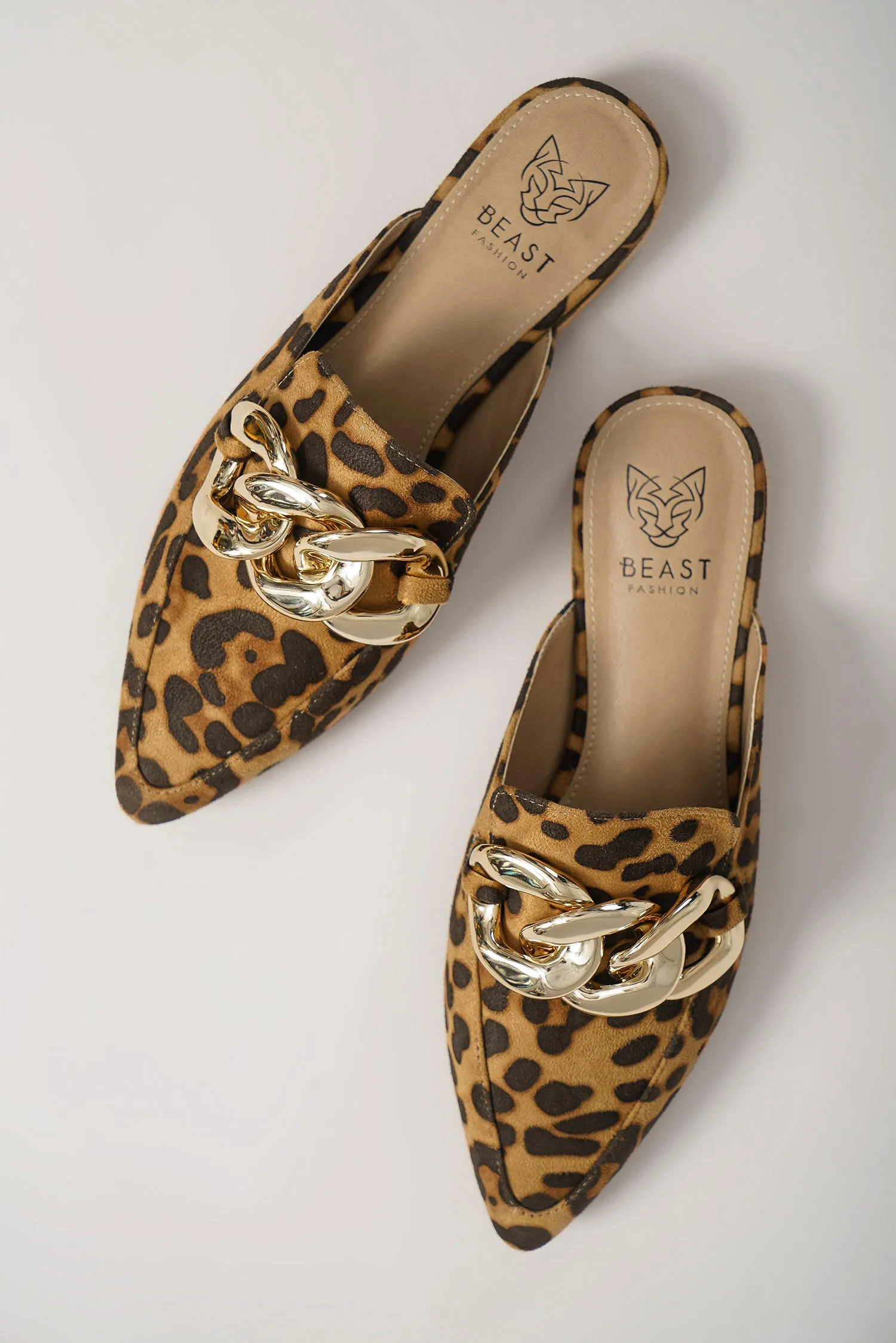 GEM-36 - Leopard