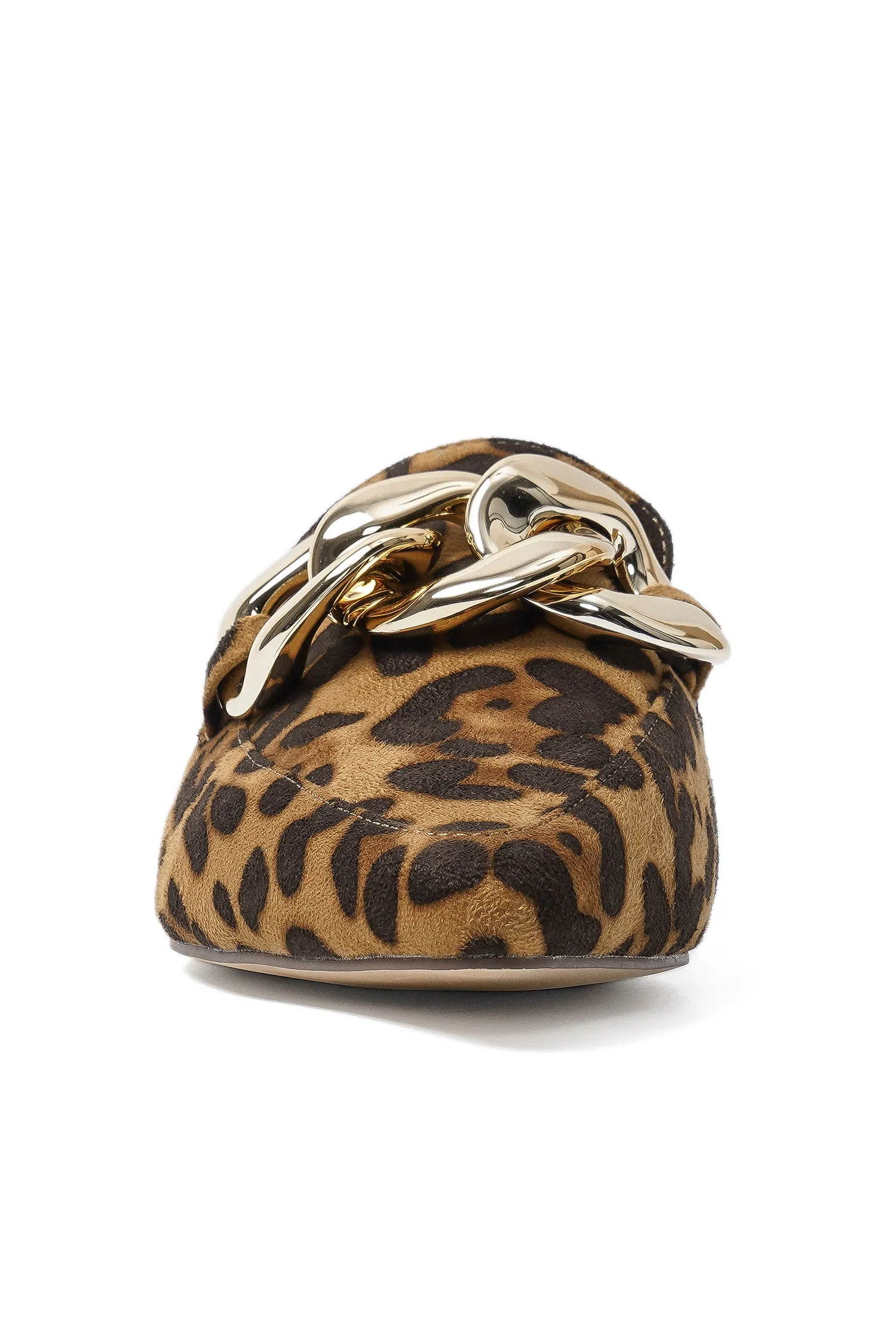 GEM-36 - Leopard