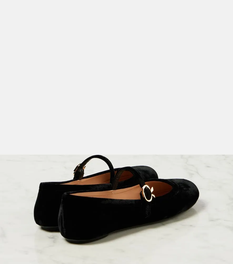 Gianvito Rossi Carla velvet ballet flats