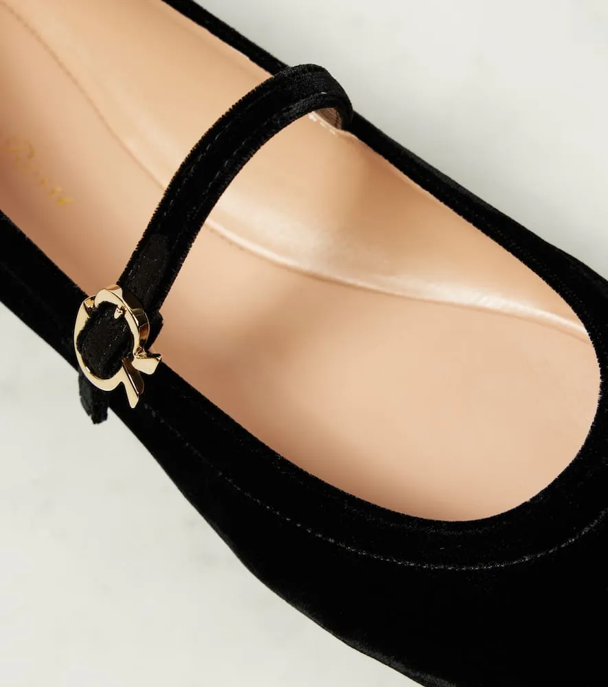Gianvito Rossi Carla velvet ballet flats