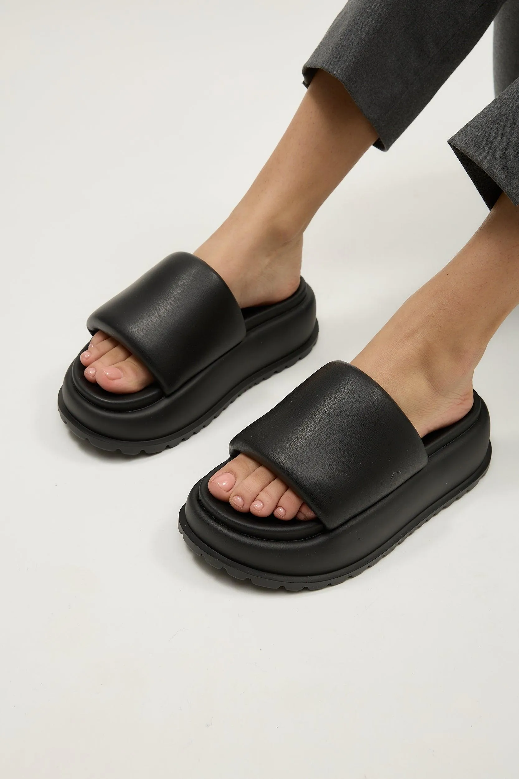 Lola Black