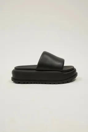 Lola Black