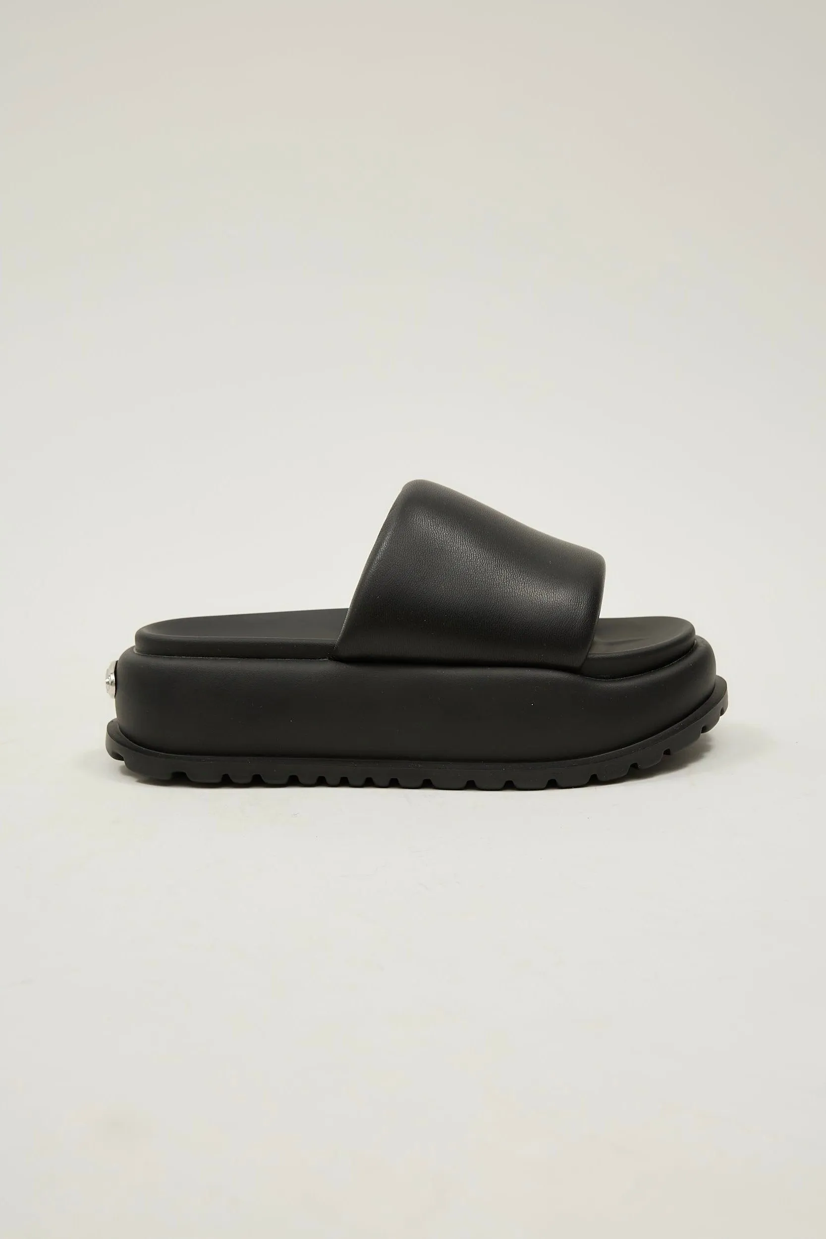Lola Black