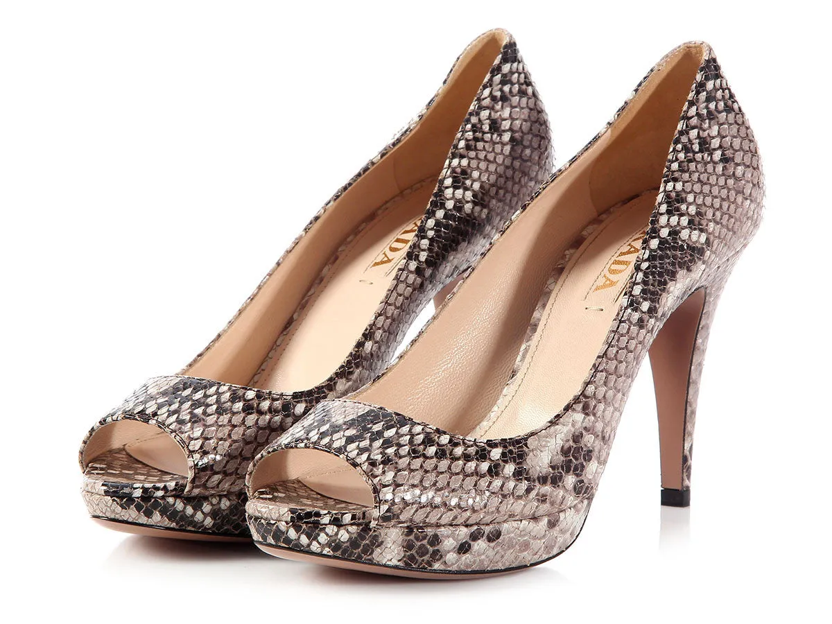 Prada Python Peep Toe Pumps