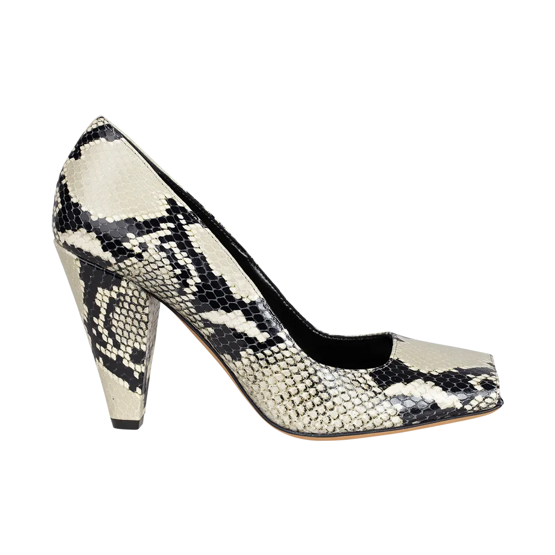 Python Cedar Pump