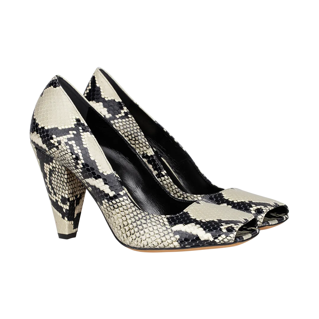 Python Cedar Pump